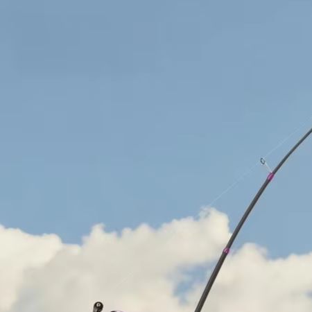 Fishing Rod Carbon Fiber - Canne à pêche articulée 1,8 m